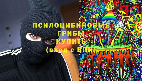 мяу мяу мука Заводоуковск