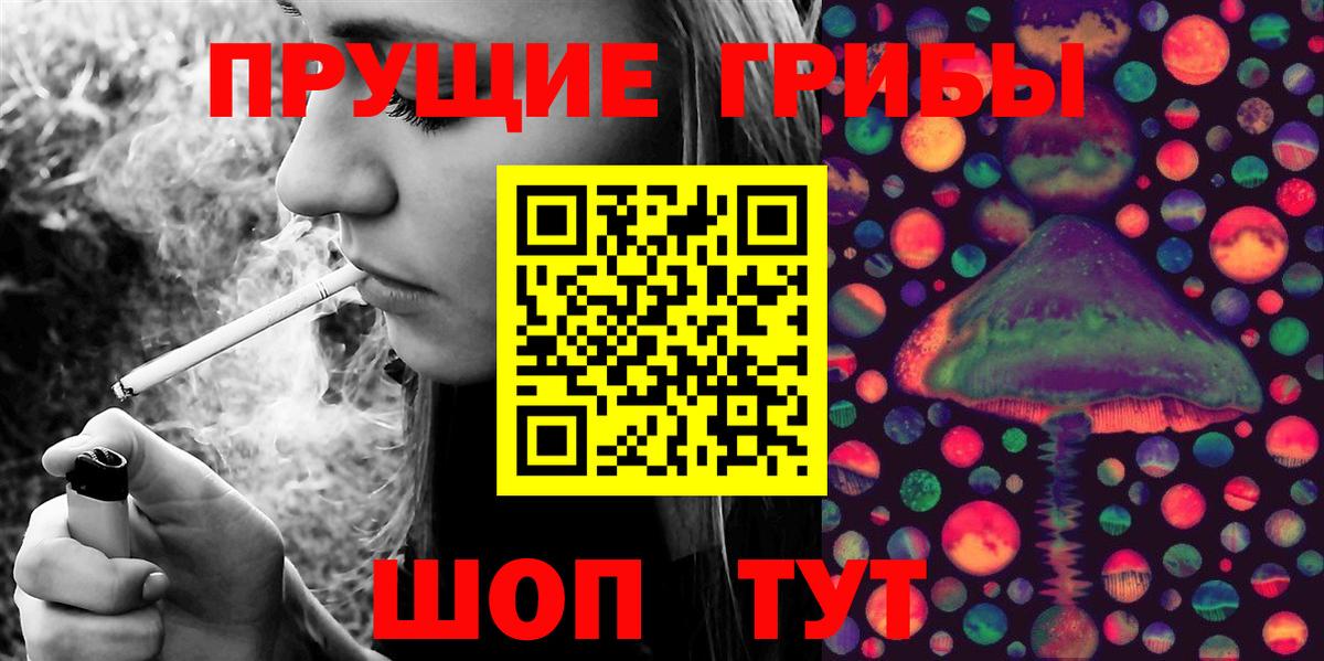 Батайск  Псилоцибиновые грибы MAGIC MUSHROOMS  наркошоп  Галлюциногенные грибы Psilocybine cubensis  Вход с VPN 