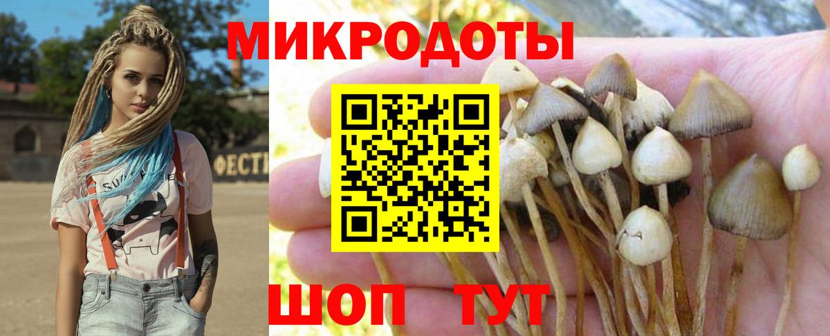 Псилоцибиновые грибы Magic Shrooms Батайск